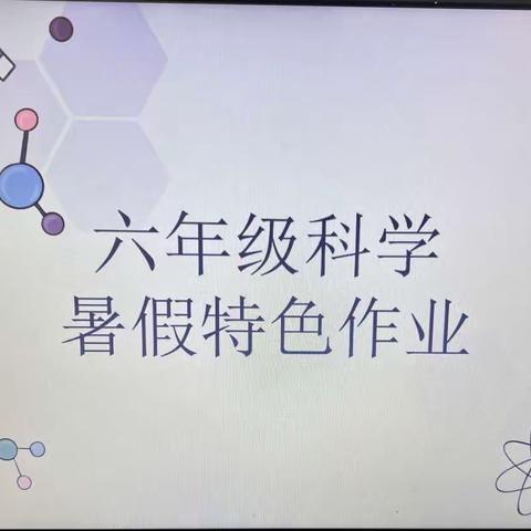 二七区汝河路小学教育集团北校区六年级科学暑假特色作业展示