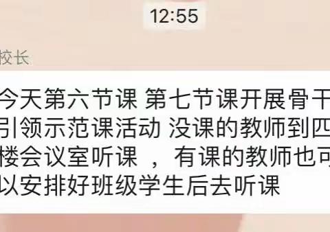 课堂展风采 教研促成长——骨干教师示范课活动