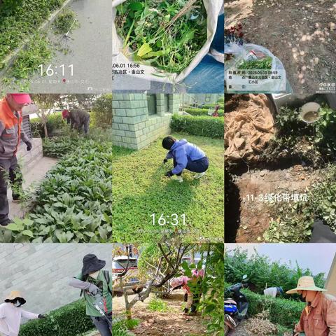 益西物业金山文汇小区25.6月份工作简报