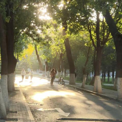 动医一班举行《重阳诗会》活动