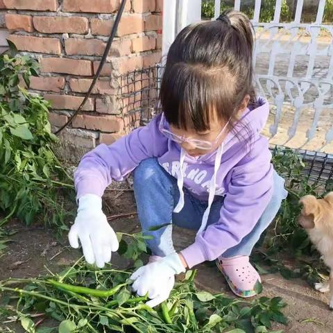 公平小学四年三班劳动周主题活动