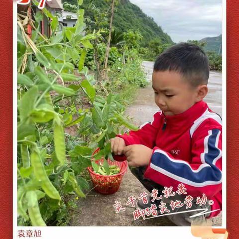 快乐劳动，幸福成长——建南镇公办中心幼儿园幼儿劳动篇