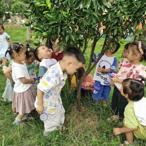 欣阳教育-花园幼儿园小二班开学第三天～