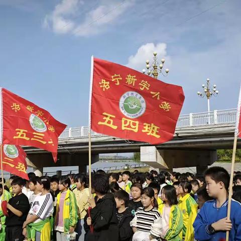 秋日暖阳，一起“趣”玩--新宇小学秋日活动美篇