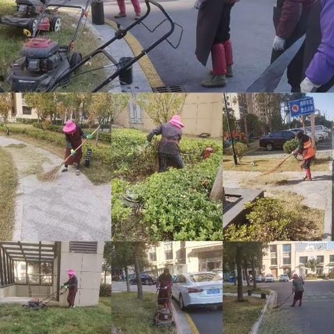 天紫物业服务中心11月份服务月报