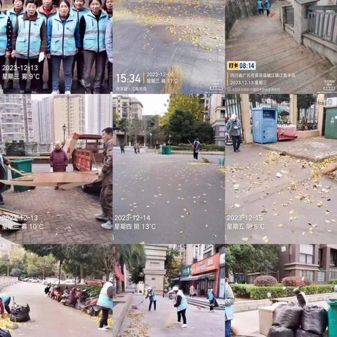 天紫物业服务中心12月份服务月报