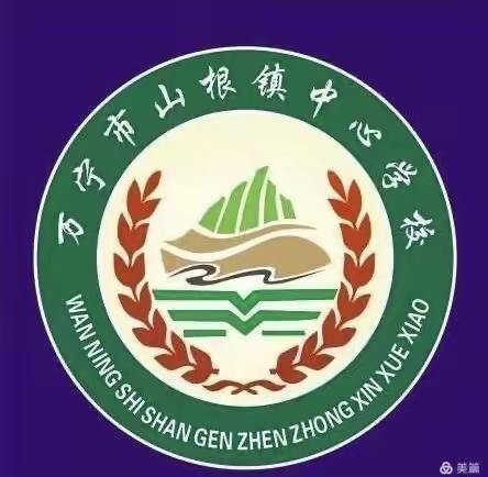 踔厉奋发新征程 凝心聚力谱新篇——山根镇中心学校党支部召开2022年度组织生活会和民主评议党员