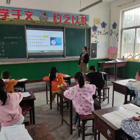 崖窑小学优质课教学月活动