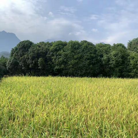 从餐桌走向田地，从浪费走向珍惜