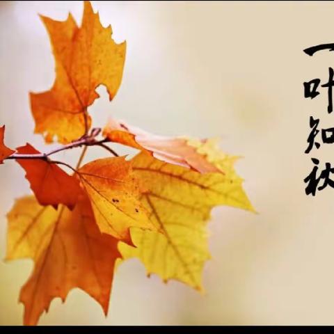 “与秋叶🍂共舞💃，树叶粘贴画”许家台镇中心幼儿园