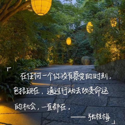 八（3）班🌸迎寒而立，相拥冬阳