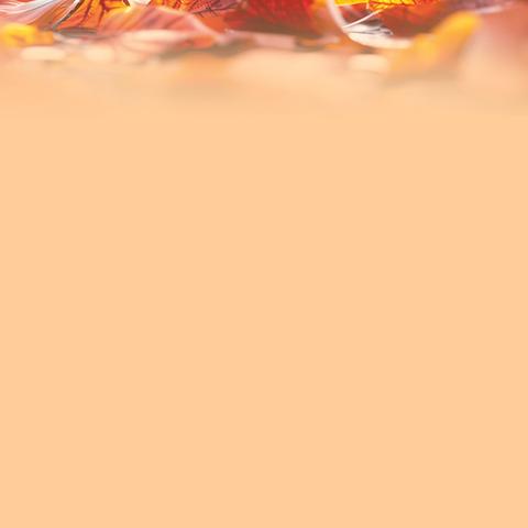 金秋启航，梦想飞扬 军山铺镇中学初中部 第一次月考表彰总结