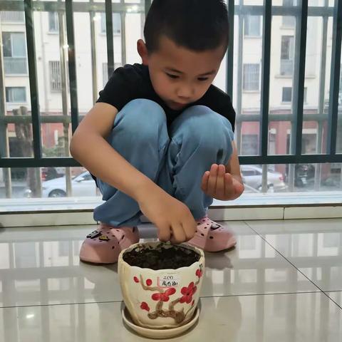 2023高书涵的暑期记录