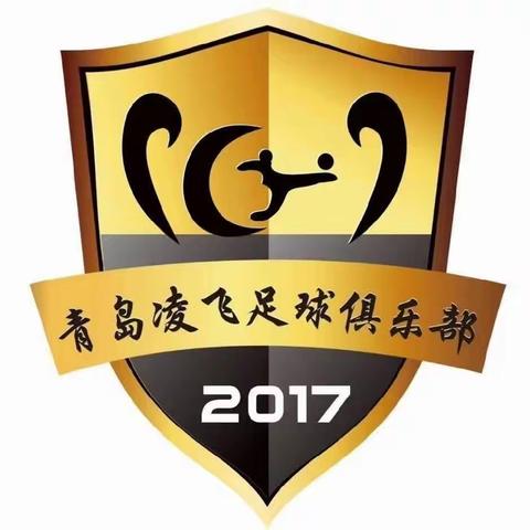 上合示范区实验小学足球社团推介