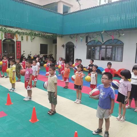 晨光幼儿园🏀篮球班火热招生中