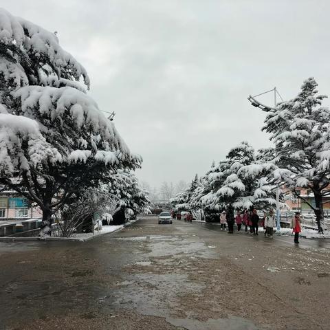 【栖霞市寺口中学】深研细讨雪飞扬，同心共掬满庭芳