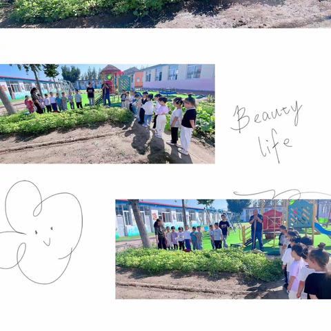 “我劳动我快乐，小菜园大收获。”——三甲庄幼儿园收获篇