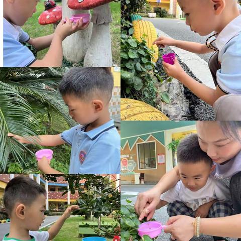 ❤️爱上幼儿园，快了每一天🍭🎉