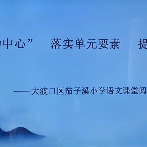 语文课堂阅读教学研讨        ——聚焦“学为中心”  落实单元要素 培养系统思维﻿