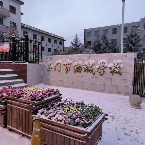 校园扫雪忙，安全有保障