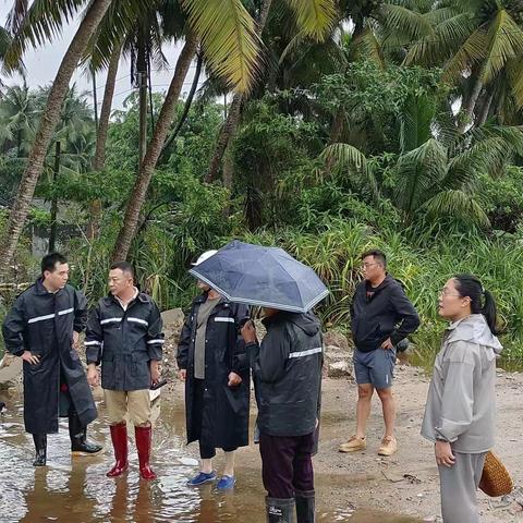 东郊镇镇长何荣灵到泰山村接访群众反映暴雨灾后问题