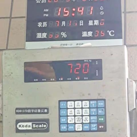 磨刀坑社区 2023年8月26日 餐余收76桶（8.700吨)