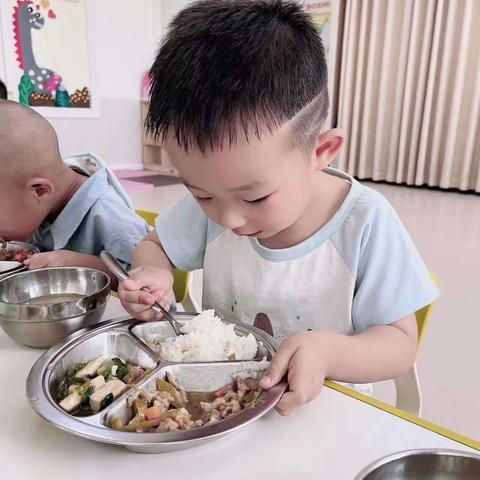 确山博世幼儿园小D班一周的精彩瞬间～