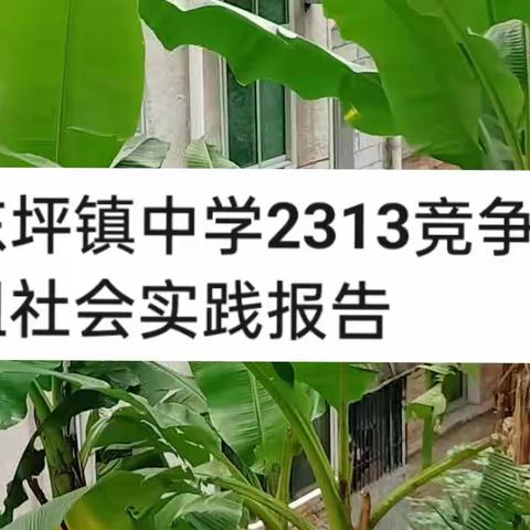 东坪镇中学2313班竞争组“生物调查”社会实践