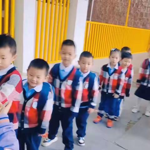 卡乐卡迪幼儿园小班第五周