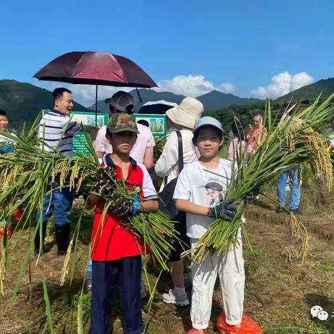 启航托管，“一粒米”研学之旅！
