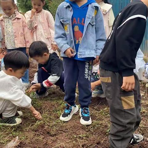 美好的一周从播种开始