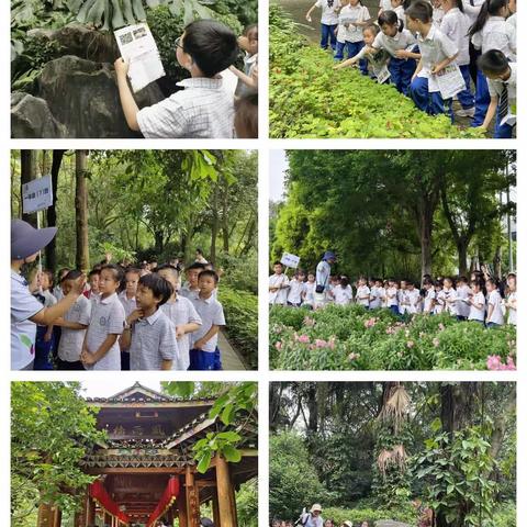 “小植物，大世界，春到家乡美如画”——柳州市羊角山小学一年级园博园研学活动纪实