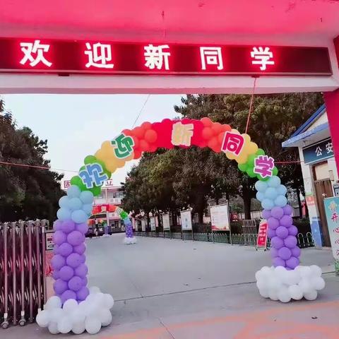 学规范  正行为  养习惯——高显小学一年级(1)班开学第一周纪实