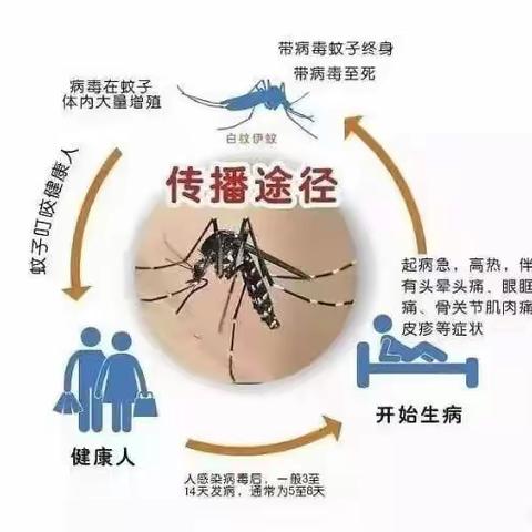 预防登革热  我们在行动——博厚中心学校预防登革热宣传活动