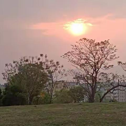 于都县芦山小学2023年秋季班主任工作培训会