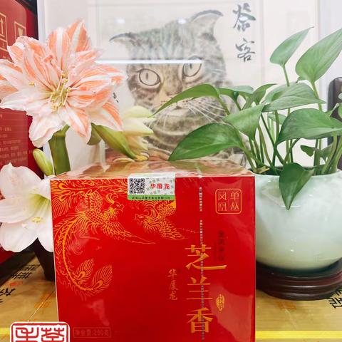 产品展示：那一壶煮沸的新茶，在茶客的唇齿间回绕，品后有人似觉苦若生命，也有人淡如清风。