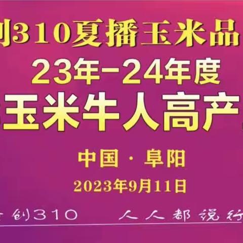 2023-2024年度隆创祺华玉米牛人高产王大奖赛—安徽站