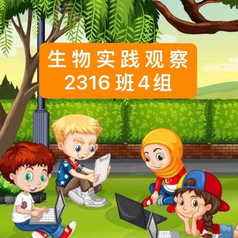 生物实践观察  （植物、动物篇）