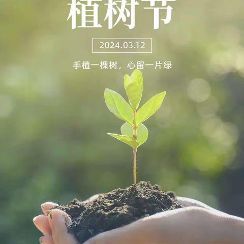 大二班户外—植树