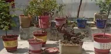 人居环境持续改善——精细治理、全面提升