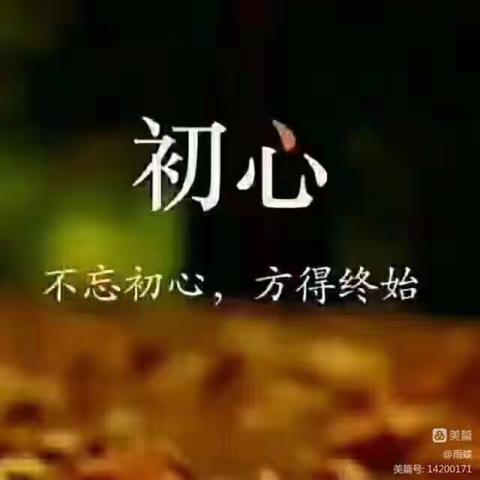 雨蝶的美篇