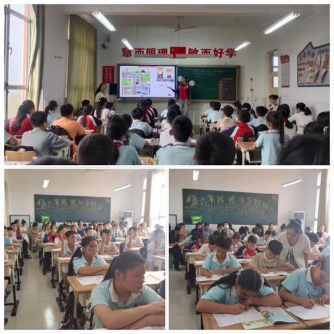 大因小学双减工作周报