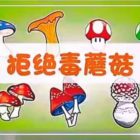 珍爱生命·远离毒蘑菇——吉首市第十三幼儿园关于禁止食用野生菌🍄﻿﻿致家长的一封信