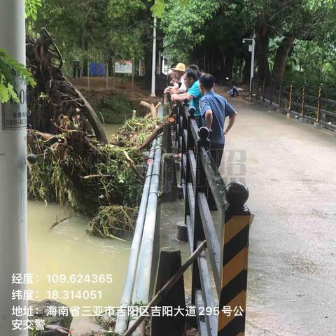 受暴雨影响大水冲倒河边榕树漂流到(下廖桥)下卡住阻碍行洪，吉阳区政协主席 陈小宝，现场指挥河道保洁员清理。