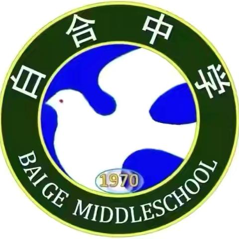 以赛促研，以课提质 ‍——唐县白合镇中学数学组“四课型”达标验收暨校级优质课比赛