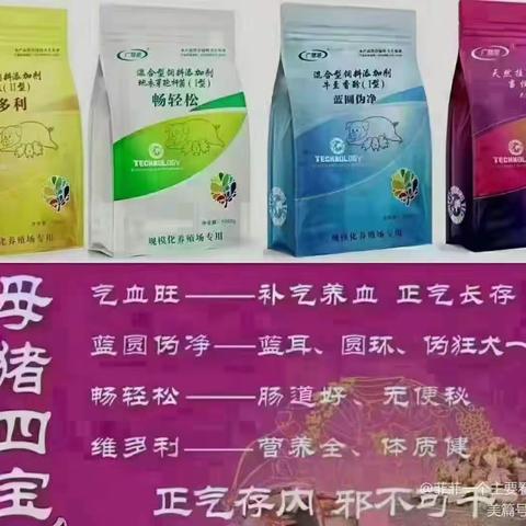 母猪怀孕前后疫苗怎么打详解