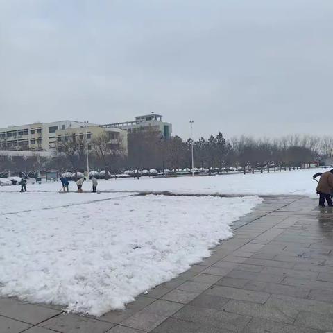 风雪中，图书馆人的守护