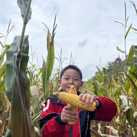 实践砺成长，劳动最光荣