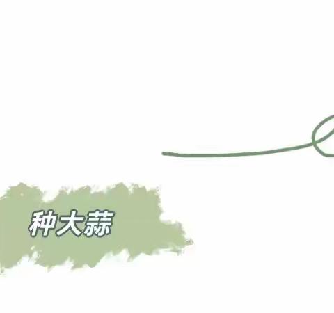 大蒜成长记之“蒜我最棒”----银海立达幼儿园中一班种植活动