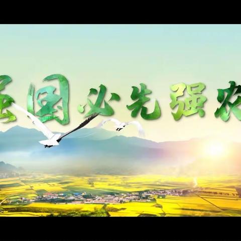 2023年全市农业农村重点工作现场观摩小记（9.11）